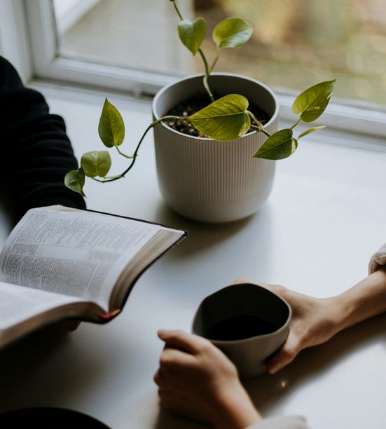 Group of young people sitting on grass, reading books together, with focus on an open Bible resting on one person's lap.