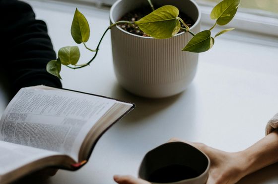 Group of young people sitting on grass, reading books together, with focus on an open Bible resting on one person's lap.